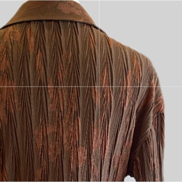 Zara NWOT Cropped Brown and Cinnamon Pleated Long Sleeve Blouse M - Picture 4 of 7